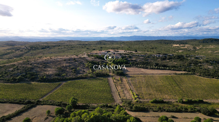 Ma-Cabane - Vente Maison MONTPELLIER, 755 m²