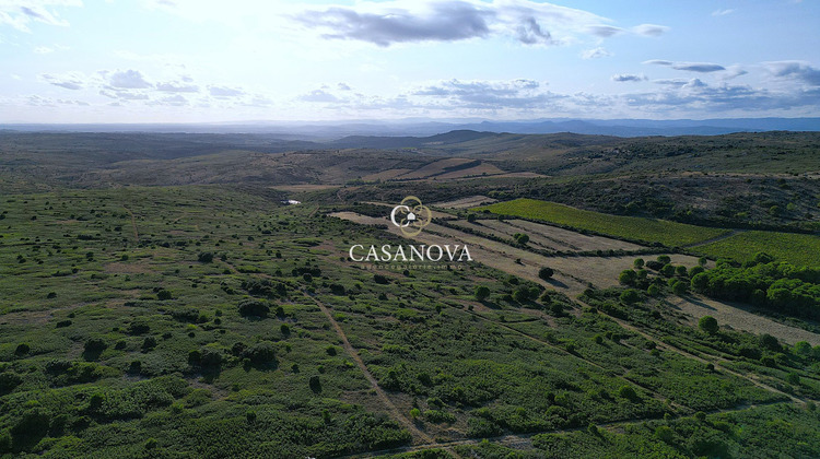 Ma-Cabane - Vente Maison MONTPELLIER, 755 m²