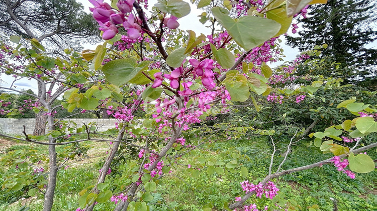 Ma-Cabane - Vente Maison Montpellier, 156 m²