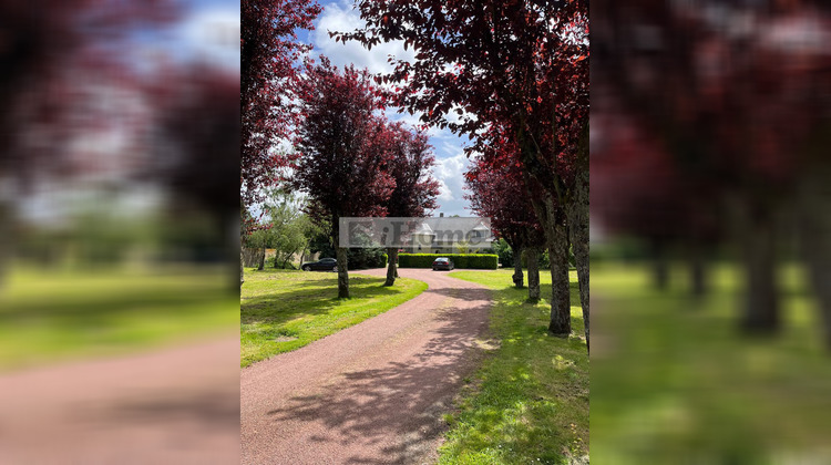 Ma-Cabane - Vente Maison MONTREUIL-SUR-MAINE, 265 m²