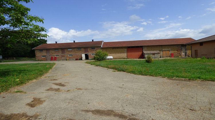 Ma-Cabane - Vente Maison MONTREVEL-EN-BRESSE, 130 m²