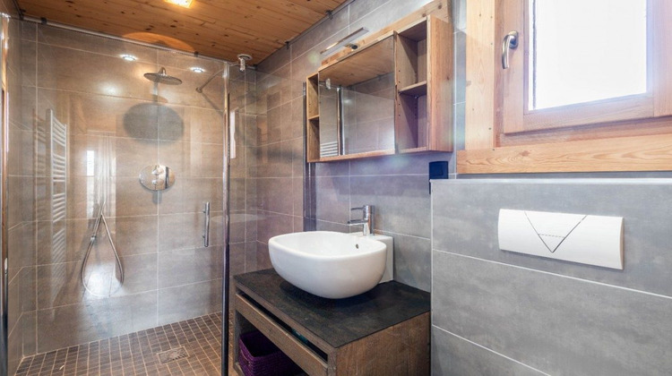 Ma-Cabane - Vente Maison Montricher-Albanne, 425 m²