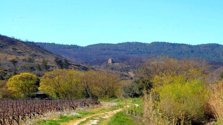 Ma-Cabane - Vente Maison Monze, 138 m²