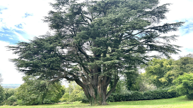 Ma-Cabane - Vente Maison Moras-en-Valloire, 900 m²