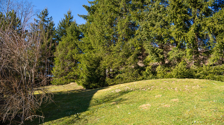 Ma-Cabane - Vente Maison MOREZ, 220 m²