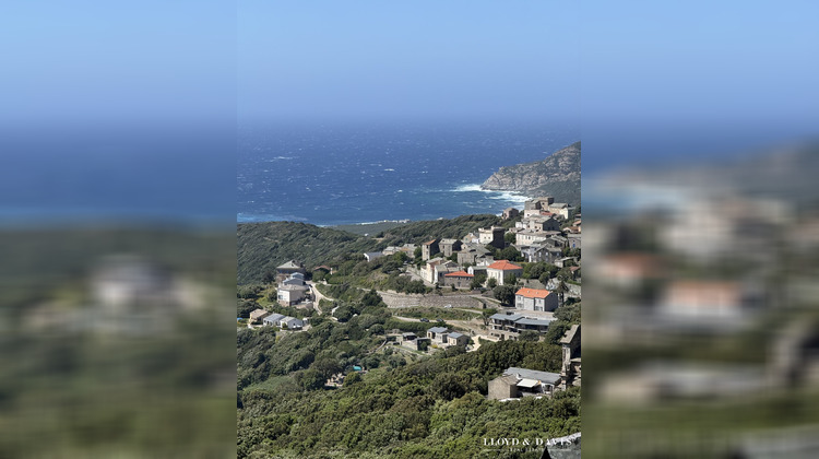 Ma-Cabane - Vente Maison Morsiglia, 148 m²