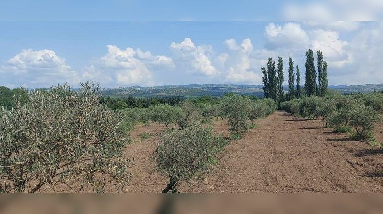 Ma-Cabane - Vente Maison MOURIES, 380 m²