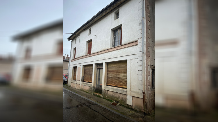 Ma-Cabane - Vente Maison MOYENVIC, 300 m²