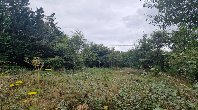 Ma-Cabane - Vente Maison MUR-DE-SOLOGNE, 36 m²