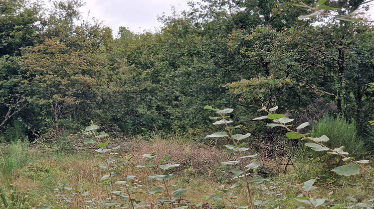 Ma-Cabane - Vente Maison MUR-DE-SOLOGNE, 36 m²