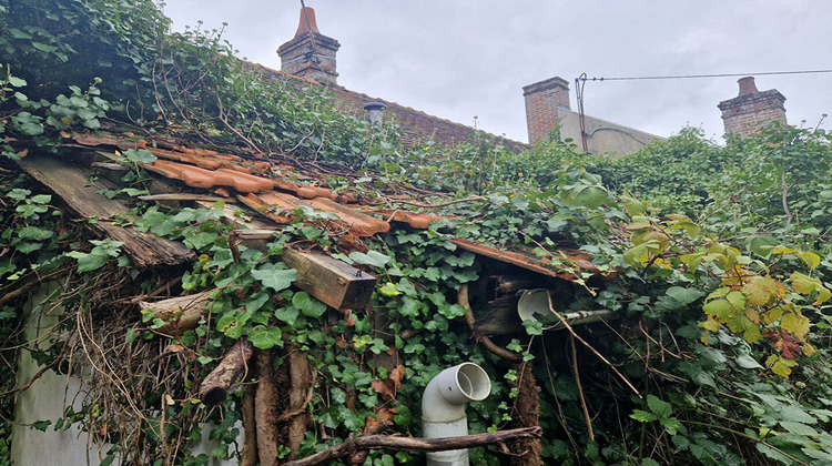 Ma-Cabane - Vente Maison MUR-DE-SOLOGNE, 36 m²