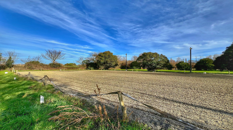 Ma-Cabane - Vente Maison Muret, 200 m²