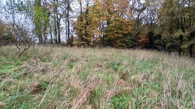 Ma-Cabane - Vente Maison NAIZIN, 130 m²