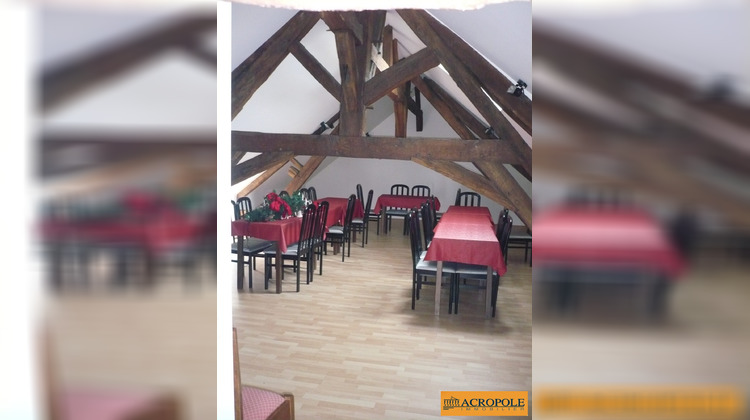 Ma-Cabane - Vente Maison Nançay, 415 m²