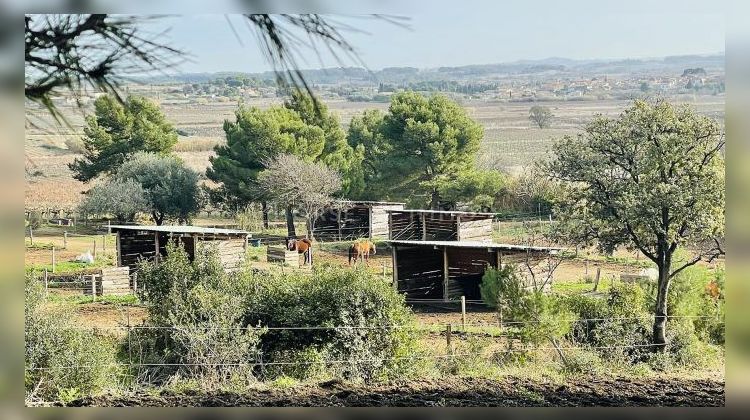 Ma-Cabane - Vente Maison Narbonne, 120 m²