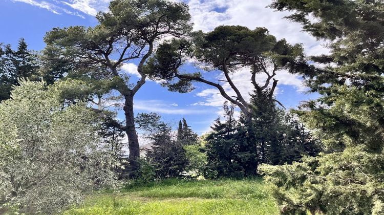 Ma-Cabane - Vente Maison NARBONNE, 500 m²