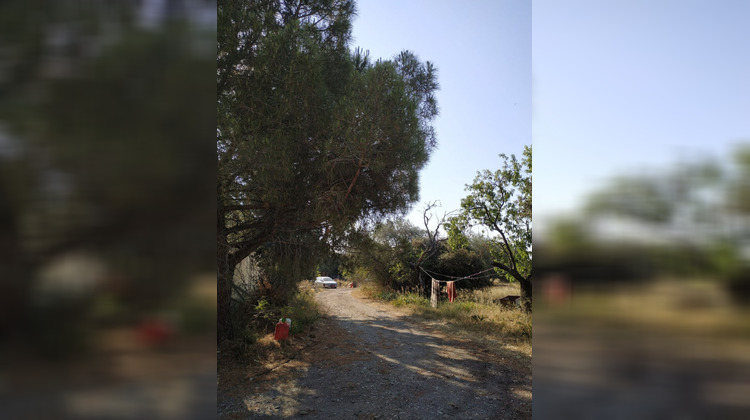 Ma-Cabane - Vente Maison NARBONNE, 600 m²