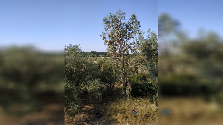 Ma-Cabane - Vente Maison NARBONNE, 600 m²