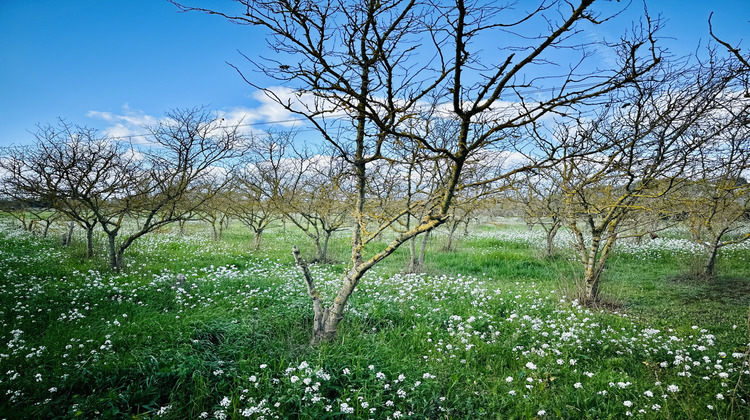 Ma-Cabane - Vente Maison Narbonne, 124 m²