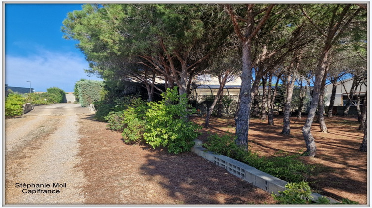 Ma-Cabane - Vente Maison NARBONNE, 500 m²