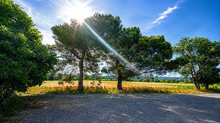 Ma-Cabane - Vente Maison NARBONNE, 350 m²