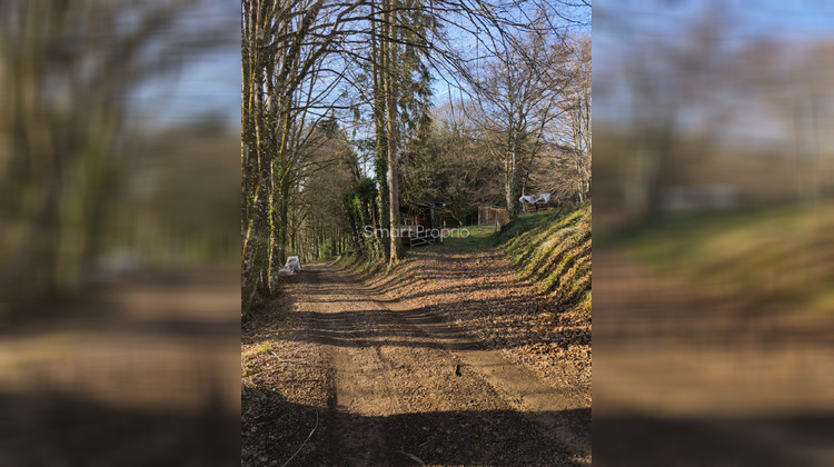 Ma-Cabane - Vente Maison Naves, 119 m²