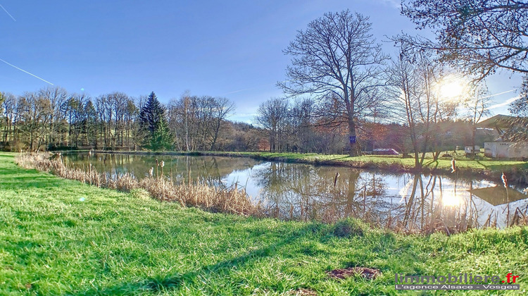 Ma-Cabane - Vente Maison Nayemont-les-Fosses, 230 m²