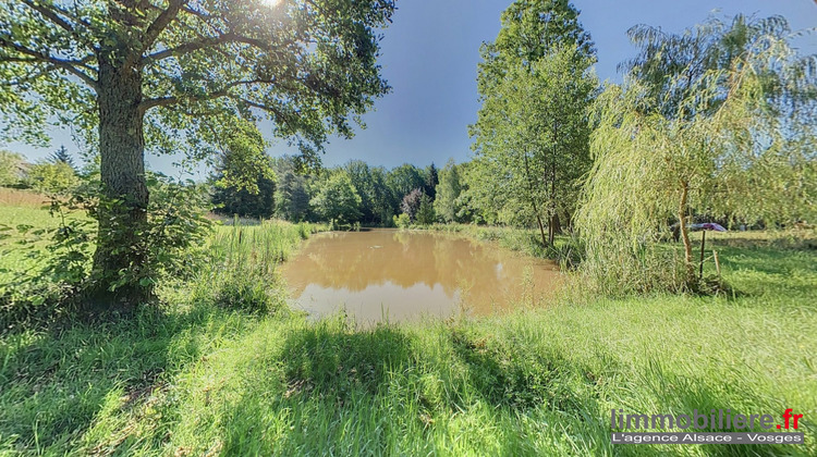 Ma-Cabane - Vente Maison Nayemont-les-Fosses, 230 m²