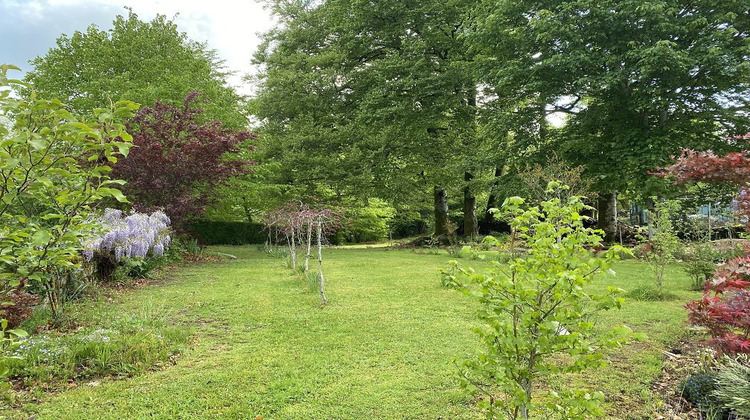 Ma-Cabane - Vente Maison Nedde, 140 m²