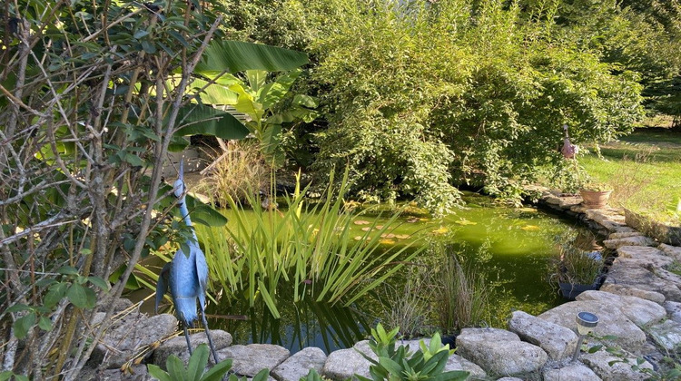 Ma-Cabane - Vente Maison Nedde, 61 m²