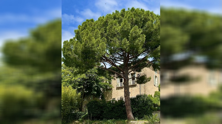 Ma-Cabane - Vente Maison Neffiès, 375 m²