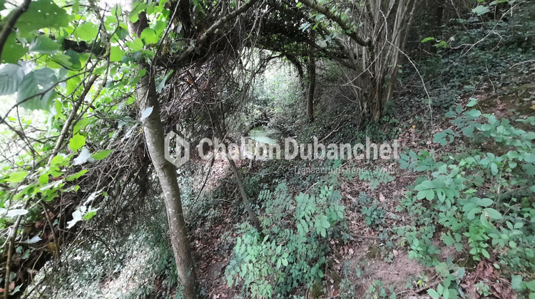 Ma-Cabane - Vente Maison NERONDE, 54 m²