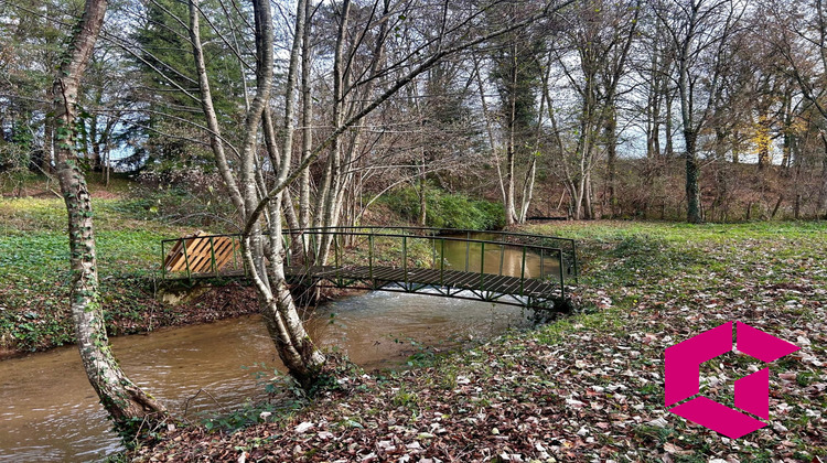 Ma-Cabane - Vente Maison Néronde-sur-dore, 340 m²