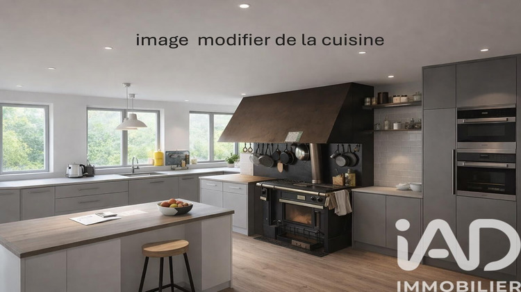 Ma-Cabane - Vente Maison Neuillé-le-Lierre, 495 m²