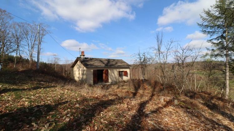 Ma-Cabane - Vente Maison Neuvic, 30 m²