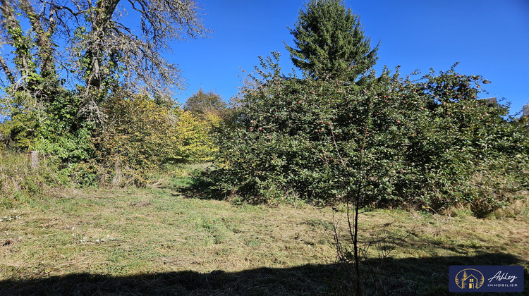 Ma-Cabane - Vente Maison Neuvic, 65 m²