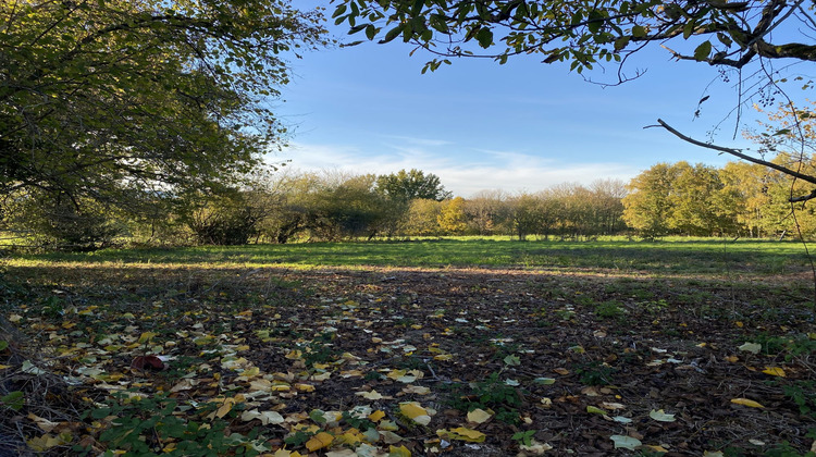 Ma-Cabane - Vente Maison Neuvic-Entier, 90 m²