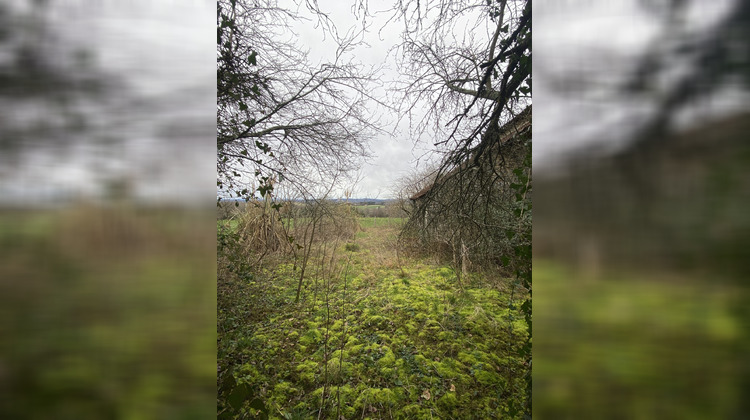 Ma-Cabane - Vente Maison Neuvic-Entier, 128 m²
