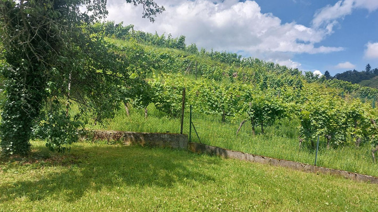 Ma-Cabane - Vente Maison NIEDERMORSCHWIHR, 160 m²