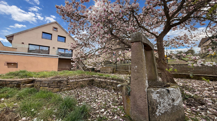 Ma-Cabane - Vente Maison NIEDERMORSCHWIHR, 120 m²