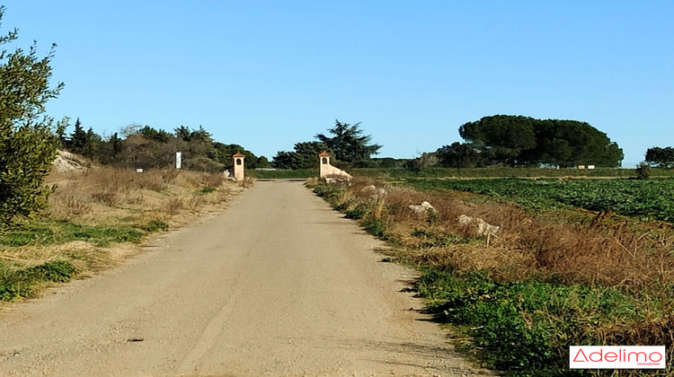 Ma-Cabane - Vente Maison Nîmes, 1582 m²