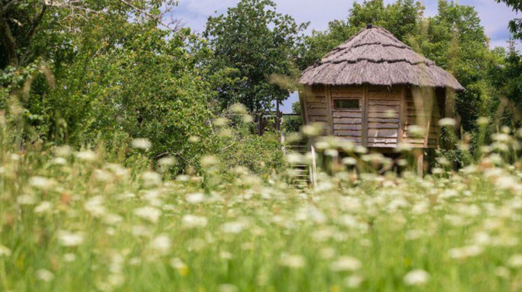 Ma-Cabane - Vente Maison NOGARO, 340 m²
