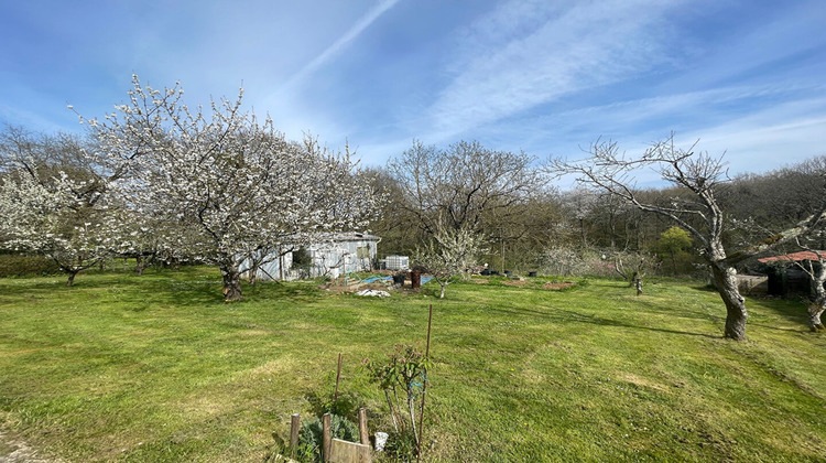 Ma-Cabane - Vente Maison NOUAILLE-MAUPERTUIS, 184 m²