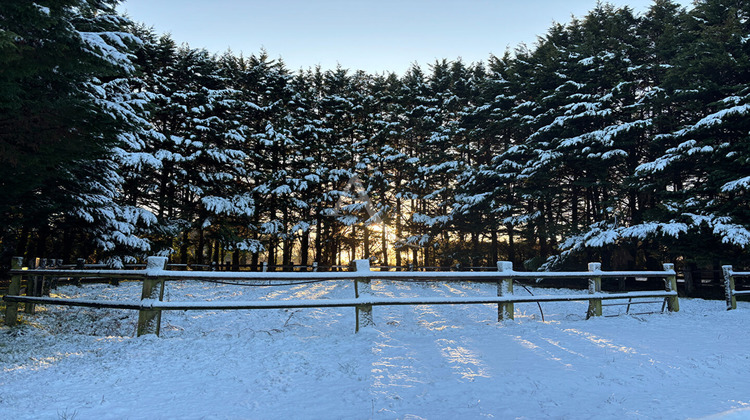 Ma-Cabane - Vente Maison NOZAY, 168 m²