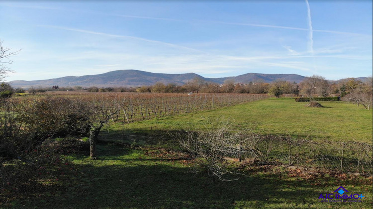 Ma-Cabane - Vente Maison Obernai, 339 m²