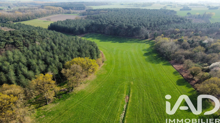 Ma-Cabane - Vente Maison Oizé, 220 m²