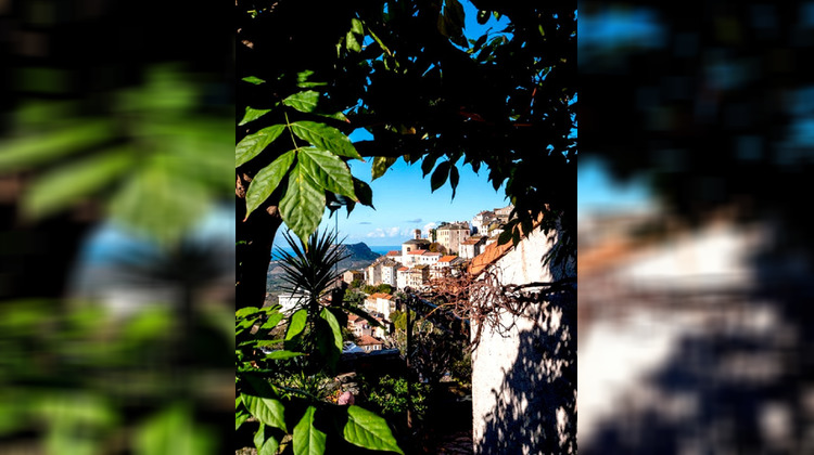 Ma-Cabane - Vente Maison Oletta, 150 m²