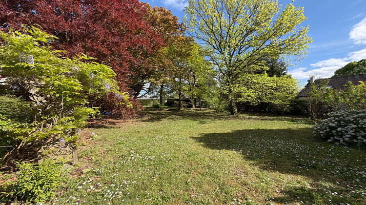 Ma-Cabane - Vente Maison OLIVET, 316 m²