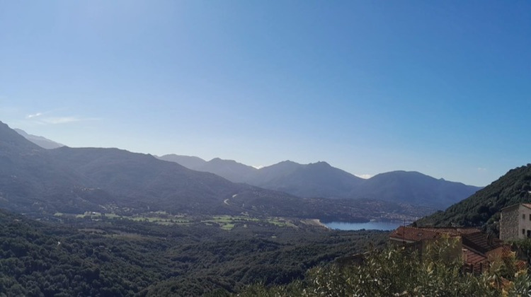 Ma-Cabane - Vente Maison OLMETO, 169 m²