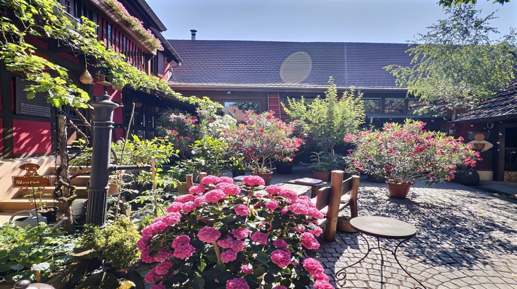 Ma-Cabane - Vente Maison Olwisheim, 354 m²
